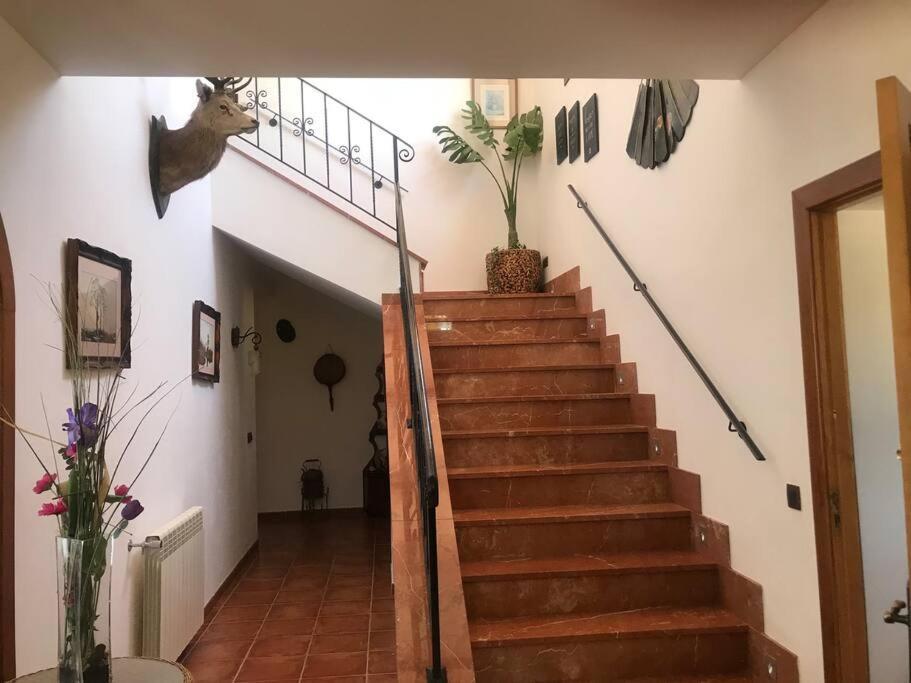Villa Miramar 桑特略伦斯斯德斯卡尔达萨尔 外观 照片
